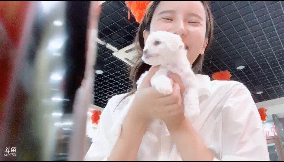小z妹直播录像视频2019080301|米娜娜