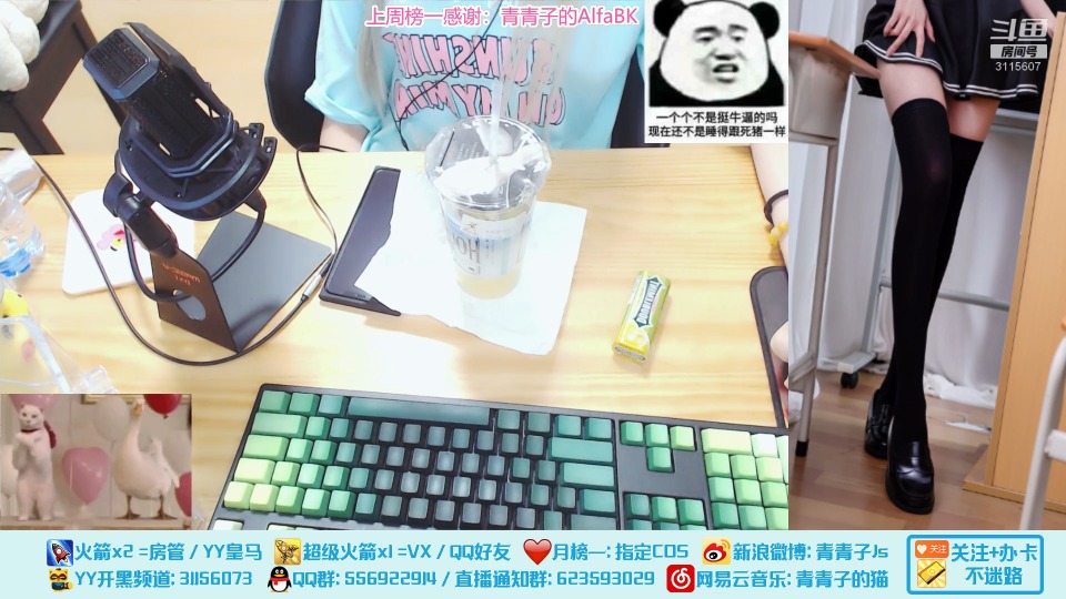 青青子的猫直播录像视频2019082321|米娜娜